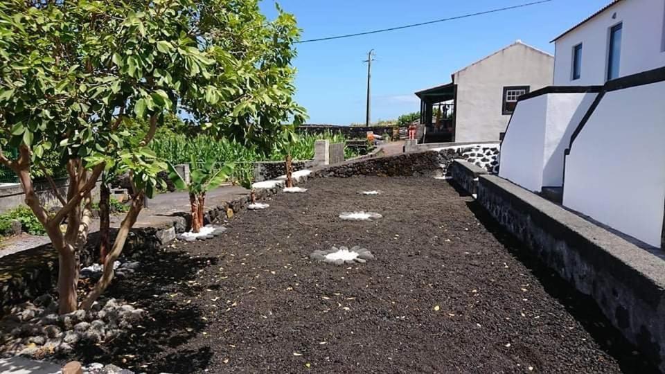 Azores Black Mountain House, Estudio E T2 Ilha Do Pico Са́н-Ро́ке-ду-Пі́ку Екстер'єр фото